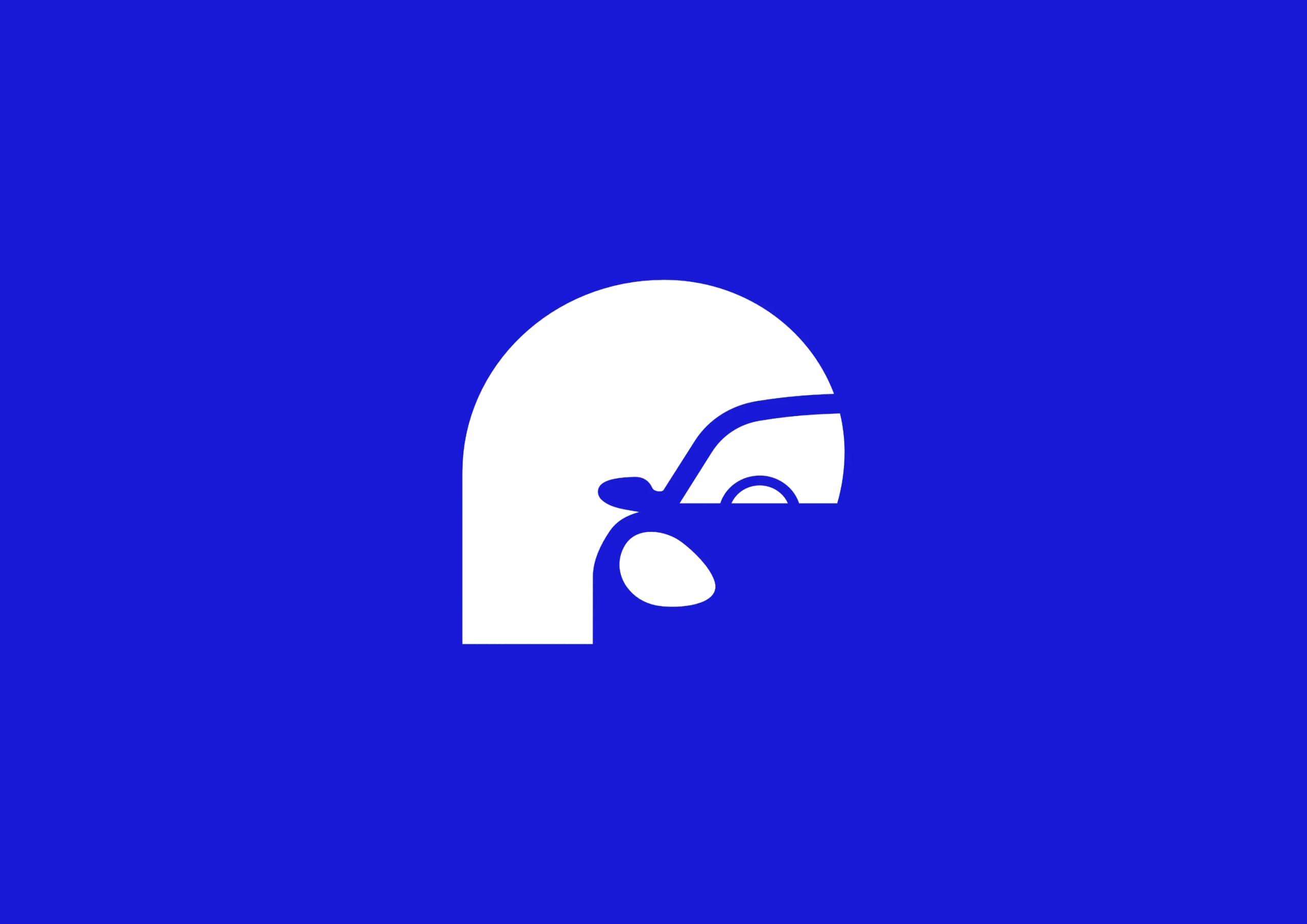 Logo Detailing FR